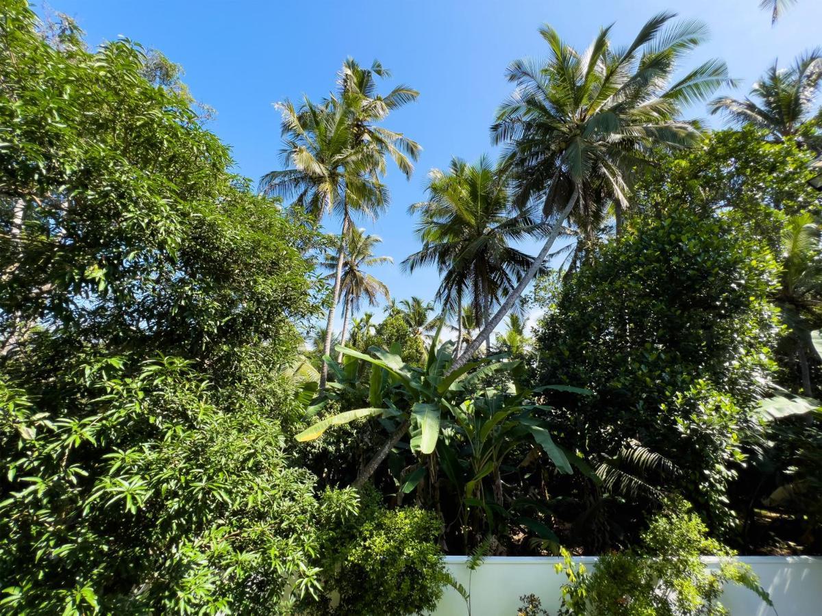 Villa Ema Galle Buitenkant foto