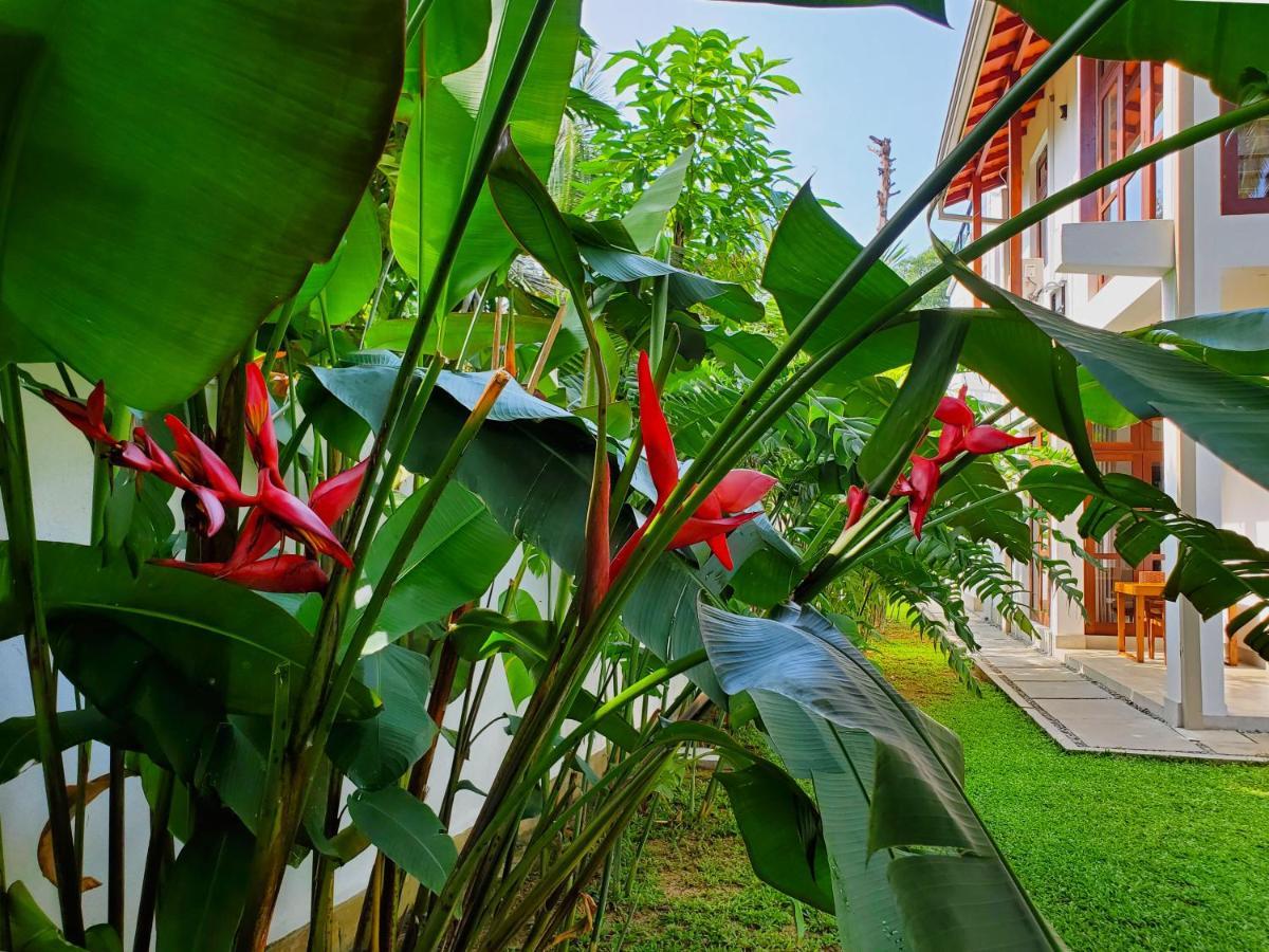 Villa Ema Galle Buitenkant foto